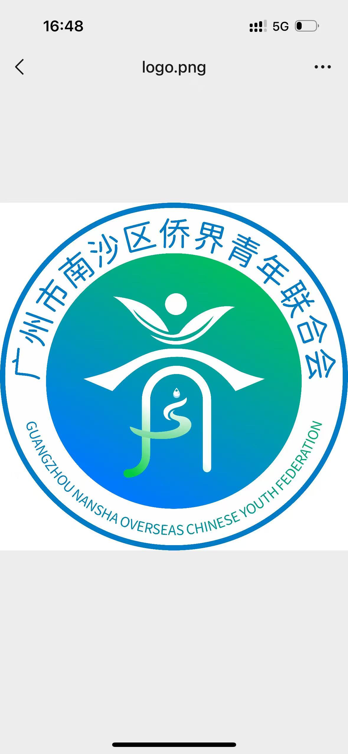 广州市南沙区侨界青年联合会